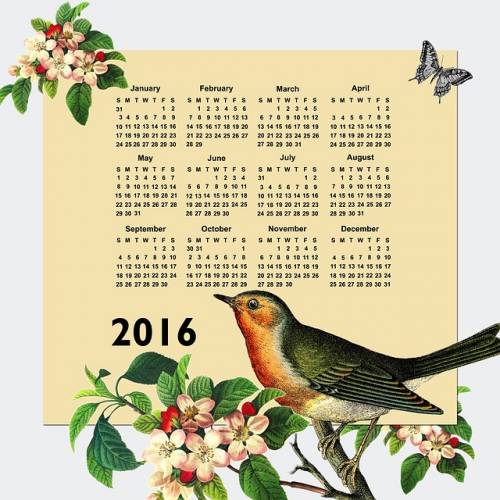 Календарь 2016 с красивой птицей и бабочкой с цветами