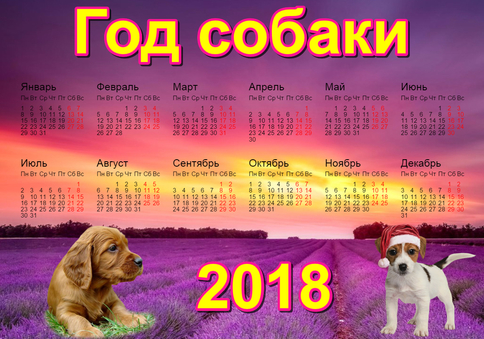 Календарь 2018 г Год собаки. Собаки на цветущем поле