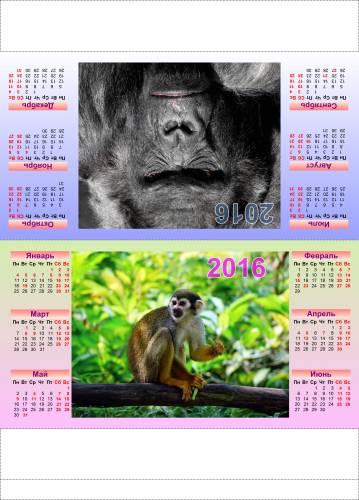 Производственный календарь на 2016 г. с обезьянками