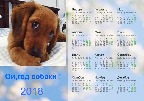 Классный календарь 2018 г. Ой, год собаки!