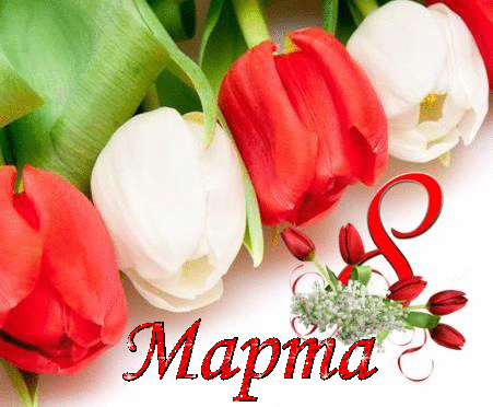 Открытка с 8 Марта.Красные и белые тюльпаны