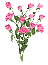 Букет распускающихся роз