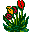 Тюльпанов разноцветье