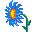 Голубой пушистый цветок