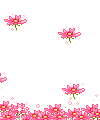 Полет розовых цветов