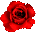 Роза с отблесками