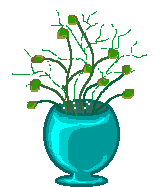 Цветы распускаются в вазе